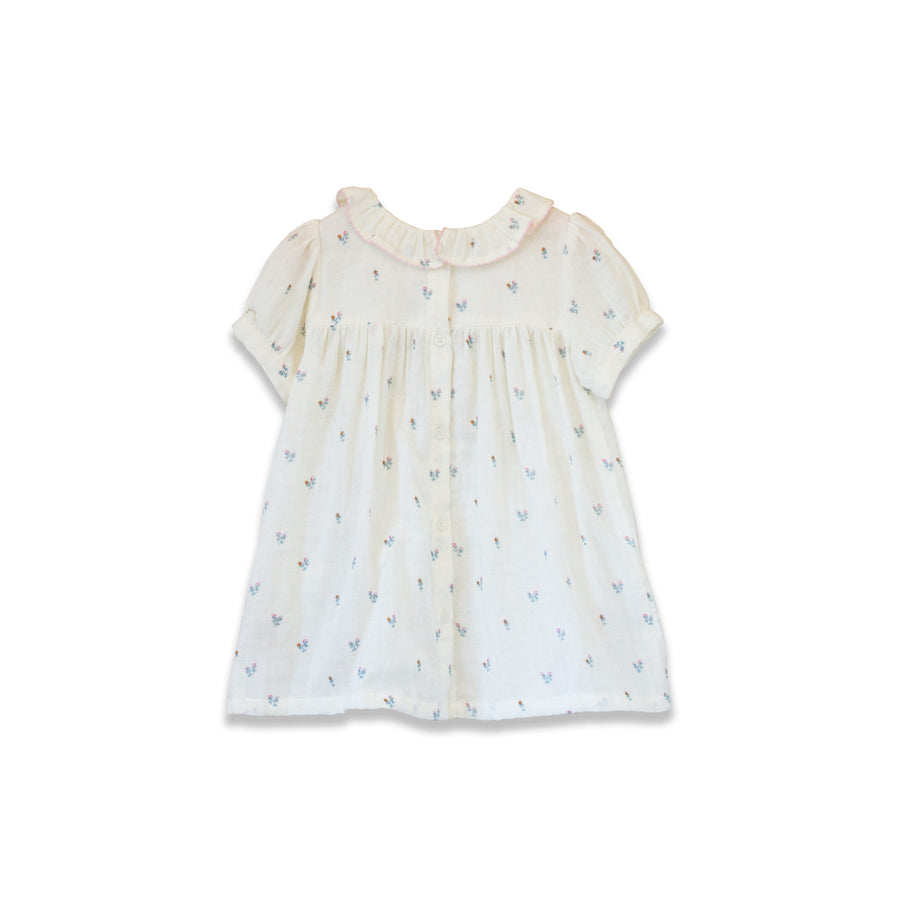 Toddler Emily dress with Lace trim | Petit Floret
