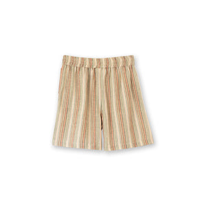 Boys Everyday Cotton Shorts | Mint Green Stripe